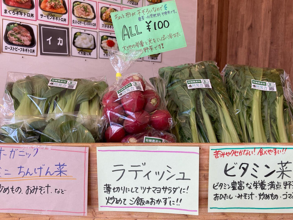 画像284
