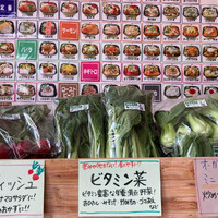 画像286