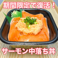 画像478